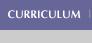 curriculum